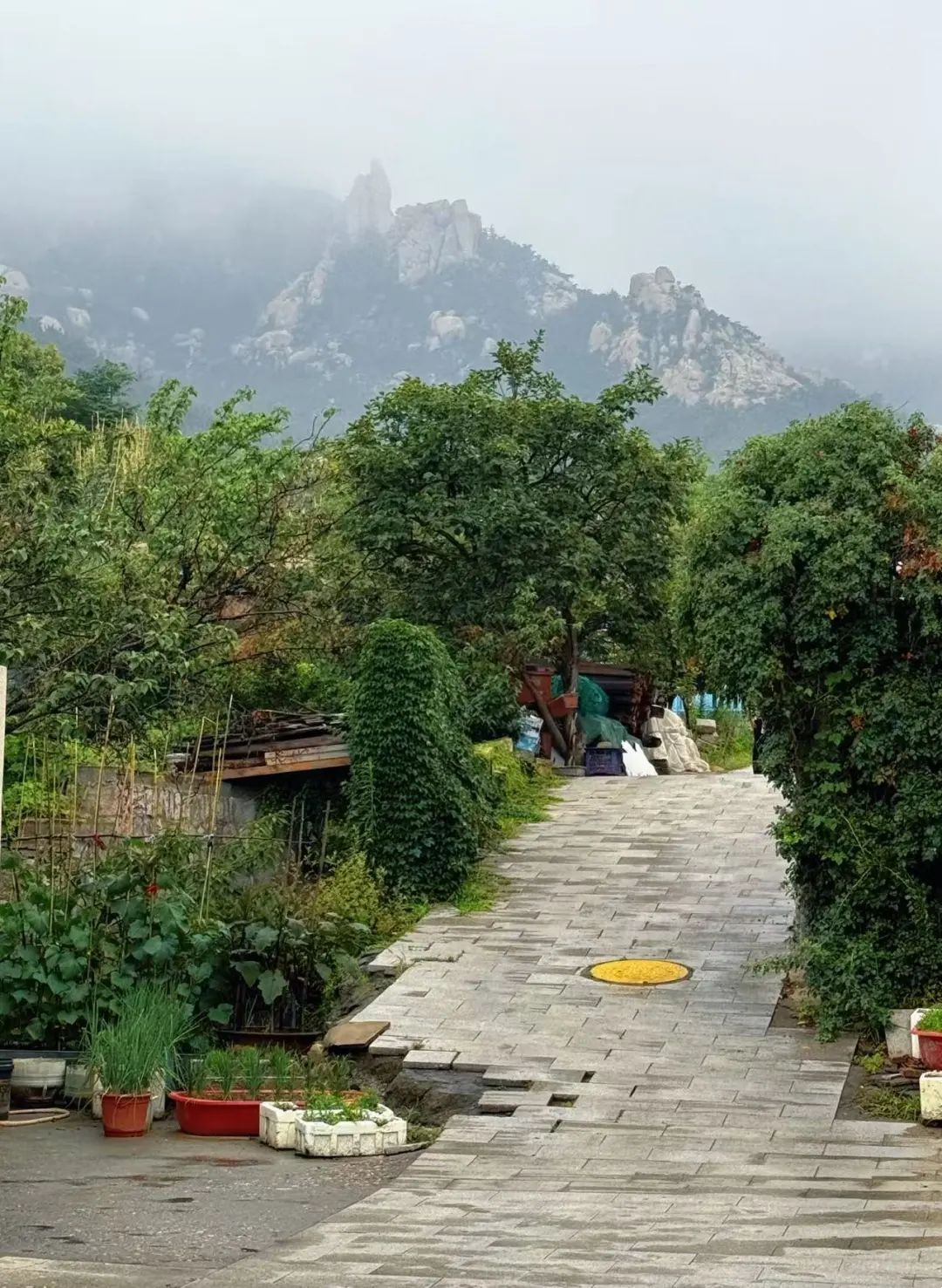 d3efbcb7e0b8835c4e526ab0eca988b9