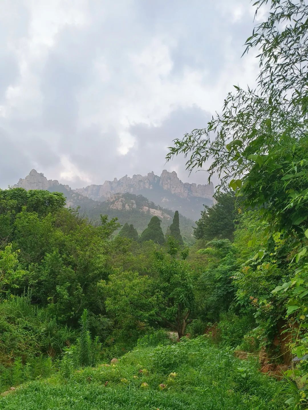 35301173719306de2acb05094d656369